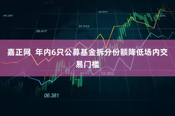 嘉正网  年内6只公募基金拆分份额降低场内交易门槛