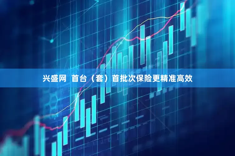 兴盛网  首台（套）首批次保险更精准高效